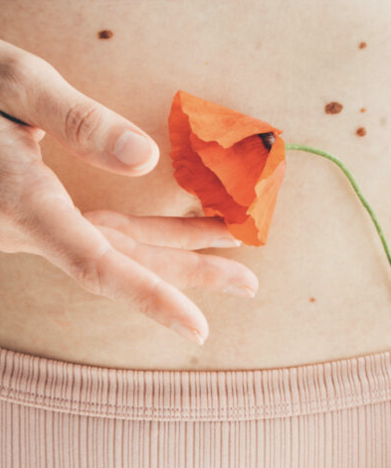 Närbild på en bar mage. En kvinna håller en röd vallmo framför magen och rör vid blomman med fingrarna på andra handen.