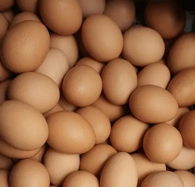 Bild på massa ägg.
