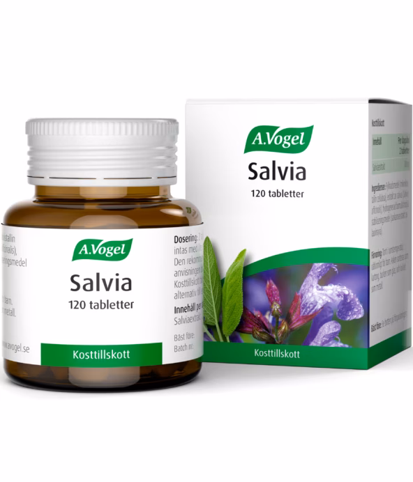 Salvia, Alfred Vogel