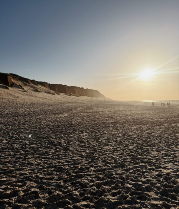 En lång, öde sandstrand i solnedgången.