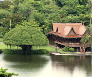 Bild på ett traditionellt thailändskt hus på hotellområdet på RXV. Även ett träd som ser ut som en stor svamp i formen.